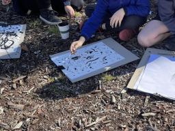 Discovery and Drawing at Gawari Mada with students from Latham Primary School