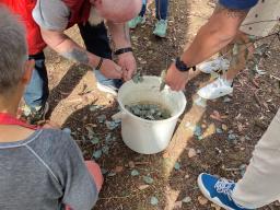 Plant gathering, Thursday 14 November, Textile design workshop (natural plant dyeing and final textile design) with Hands On studio, with Dr Rebecca Mayo