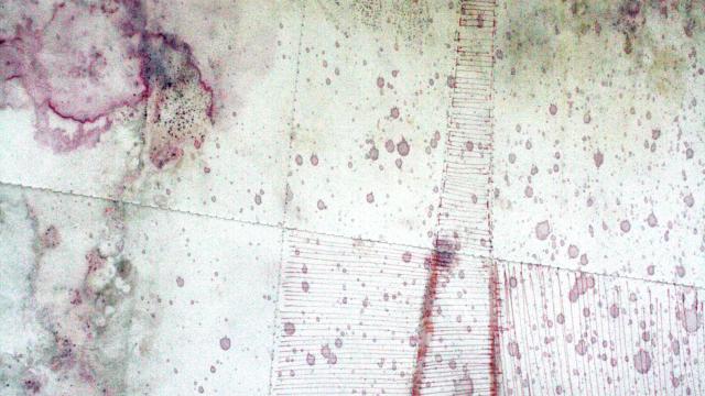 RESERVOIR HILL LANDSCAPE,2011 (Detail) Jocelyn Campbell