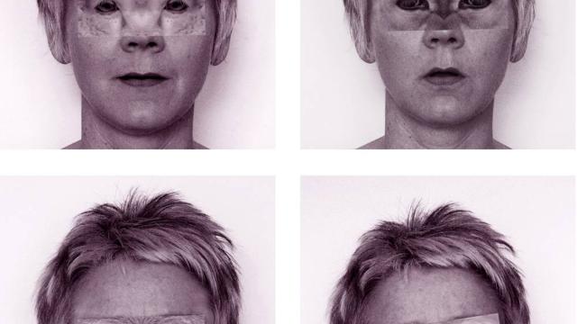 Second Sight series (sheep, cow, pig, chicken), DETAIL 2007/8, giclee print on hahnemuhle photo rag paper, each work 65 x 59cm