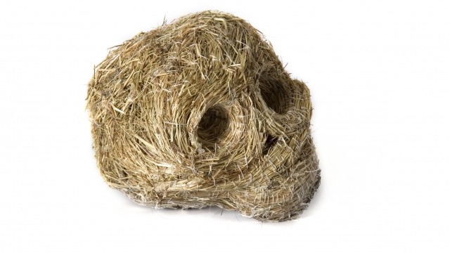 NALDA SEARLES - DRIFTING IN MY OWN LAND Nalda Searles, Grass Skull 2, 2008, common fodder (meadow hay), poly thread, 12 x 22 x 16 cm, Photography: Eva Fernandez