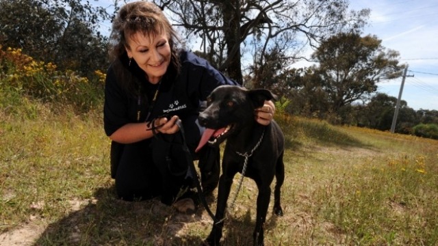 Vale Sylvie Stern