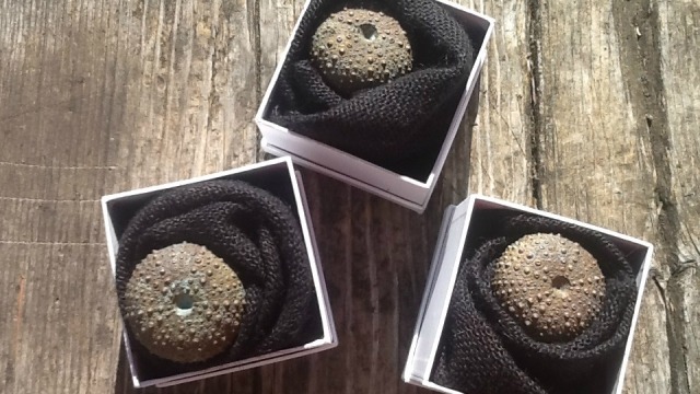 Image: Rebbeca Selleck - cast bronze sea urchin paperweights