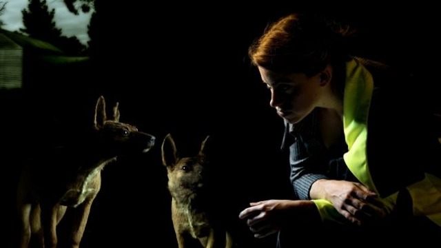 Major award won by ANU School of Art & Design PhD Graduate