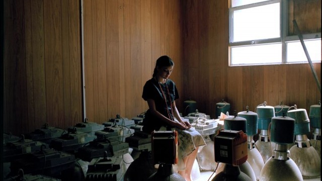Awkward Beauty, Jewellery: Necklace, 2011; Garment: Bodice, 2010; Skirt, 2010