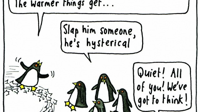 Art Forum: Judy Horacek