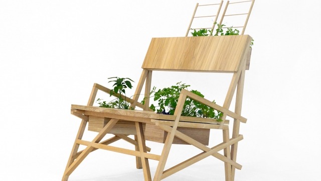 Chelsea-Lemon, Triangulation Chair, 2014, American White Oak Edible Plants.