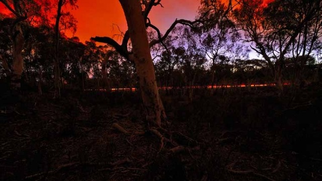 Andrew Lyne, Approaching Front. Gungahlin Hill Nature Reserve (detail), 2014