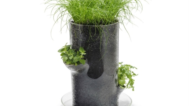 Marcel Hoogstad-Hay, Planter, 2013 Glass, soil, plants
