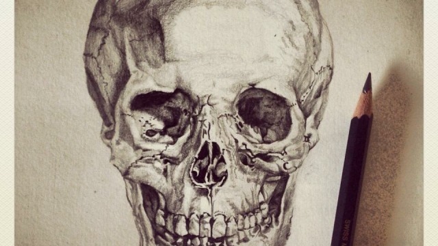 Gemma Simpson Study of human skull