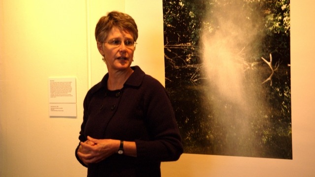 Helen Ennis contributing to upcoming Sue Ford exhibtition catalogue