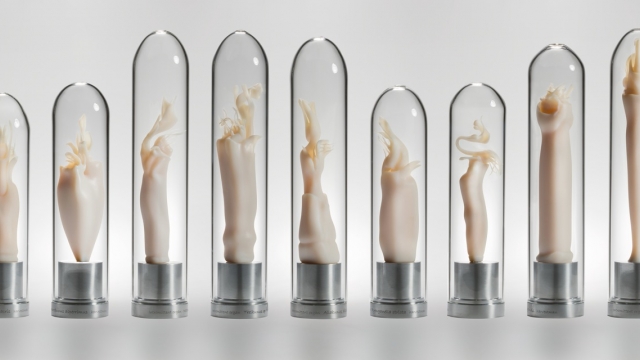 Art & Sex: Maria Fernanda Cardoso It's Not Size That Matters, It Is Shape (Intrommitent Organs of 9 Tasmanian Harvestman) 2008-2009 Resin, glass, metal.