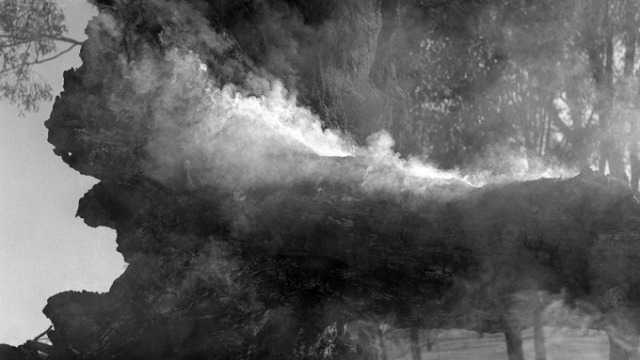 Lisa Cluniei, Untitled, 2010, digital inkjet print, 490 x 490 cm