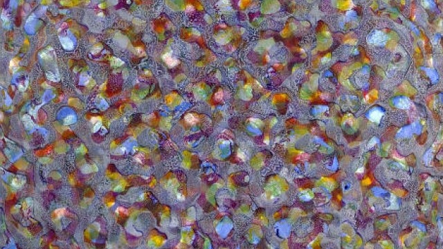 Cité Internationale des Arts residency announced Image: Liz Coats, Organica #6, 2010-11, acrylic media on board, 74x76cm