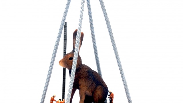 Measuring Rabbit Height- Neckpiece LISA CHIA LIANG KAO