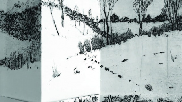 Postgraduate Coursework Exhibition 2015 Michelle Hallinan, Walking Canberra - a personal cartography (detail), 2015