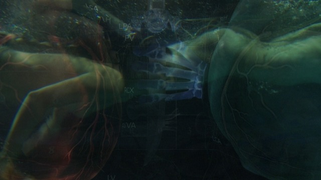 Still image detail from  The Little Mermaid
