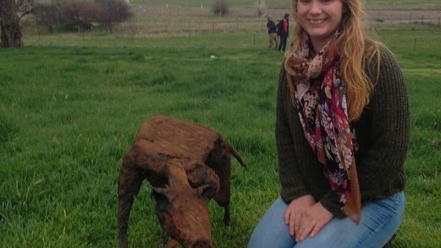 Sian Watson and her winning work Come on Rusty, 2015