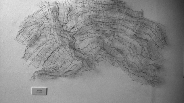 Drawing Prize winner 2010: Hanna Quinlivan, Strata, wire, 90x200 cm