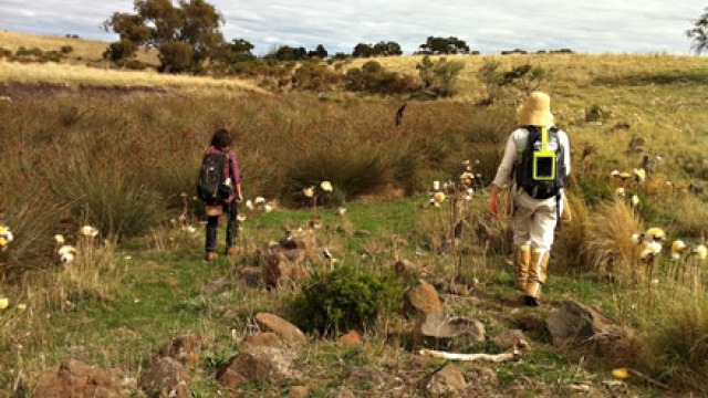 The Walks Image: Walking the Merri: From Source to Confluence Day 5 (Anna Topalidou and Rebecca Mayo) Photo credit: Lesley Harding