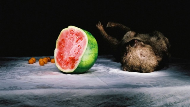 Marian Drew Marian Drew Wombat with Watermelon (detail)