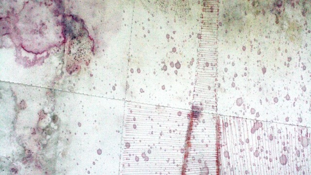 RESERVOIR HILL LANDSCAPE,2011 (Detail) Jocelyn Campbell