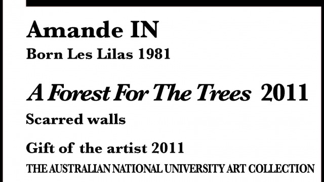 A Forest for the Trees