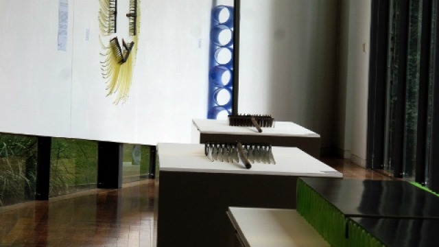 Kirstie Rea: Of Nature, Nurture and Need at National Art Glass Gallery Wagga Wagga