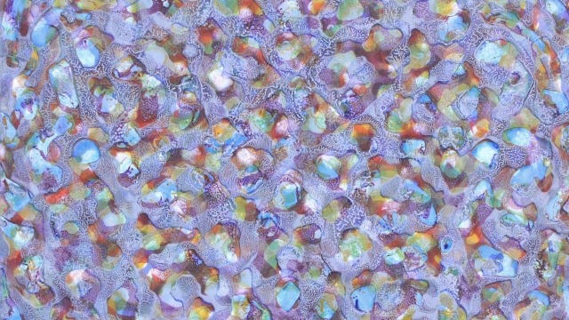 Liz Coats, Organica #7 2010, 74 x 76cm, acrylic media on board