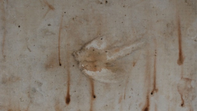 Dead Beauty Vanessa Barbay Rosella, 2010 decomposition print on canvas (shroud) 82 x 79 cm