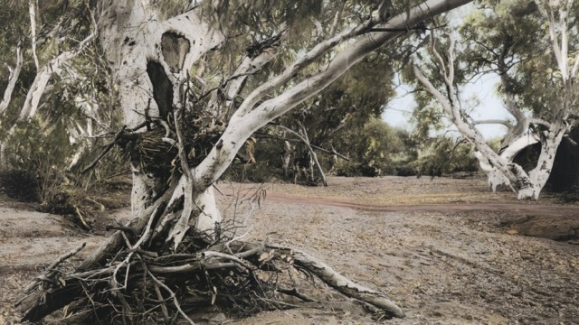 Art Forum: Nici Cumpston Fossil waterhole (detail) 2012. Archival inkjet print hand coloured with synthetic polymer paint, 65.0 x 175.0cm