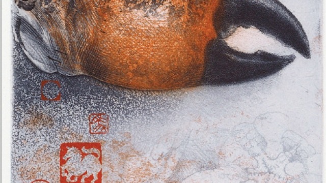Jörg Schmeisser: bilder der reise book launch Jorg Schmeisser, Crab claw (detail), 2000