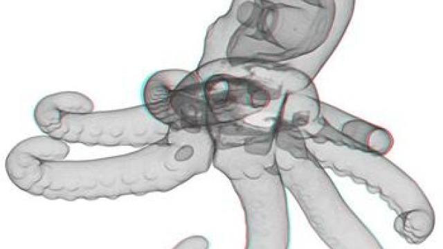 Erica Seccombe, Ocularanagluphos, 2011, anaglyph print on paper, 160cm x 196cm.