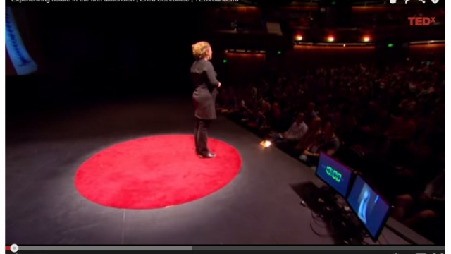 Erica Seccombe presenting at TEDx Canberra