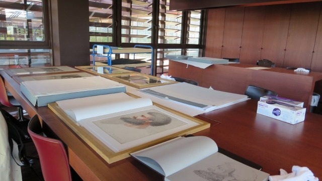 Image: Study room in the Musée du quai Branly Paris.