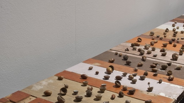 Trish Roan Even the most solid of things (Constellation 3) 2012 wood, acorns, mirrors