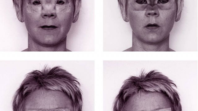 Second Sight series (sheep, cow, pig, chicken), DETAIL 2007/8, giclee print on hahnemuhle photo rag paper, each work 65 x 59cm