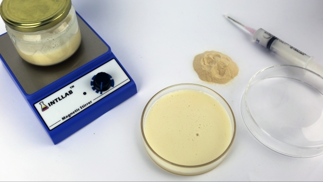 Image: Alia Parker, How to Share a Multispecies Meal process image, 2022. Photo: Alia Parker.