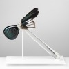 Vicky Higginson, Coping Mechanism: to test emotional response, 2022   Blown, hot-sculpted, carved and mirrored glass, magpie feathers. 49x30x6cm.   Photo credit Shannon Tofts  