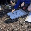 Discovery and Drawing at Gawari Mada with students from Latham Primary School
