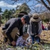Plant dyeing workshop at Gawari Mada with Rebecca Mayo