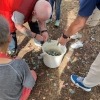 Plant gathering, Thursday 14 November, Textile design workshop (natural plant dyeing and final textile design) with Hands On studio, with Dr Rebecca Mayo